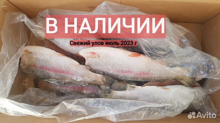 Свежемороженая горбуша потрашеная, красная рыба