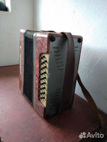 Гармонь Маричка 3