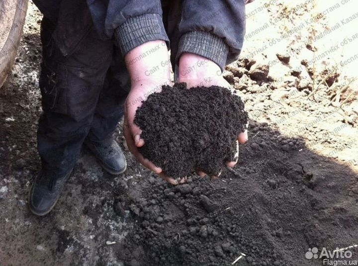 Чернозем перегной в мешках грунт