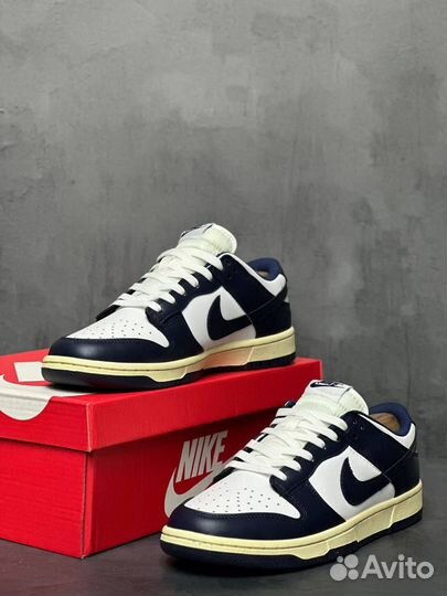 Кроссовки Nike sb dunk low (42)