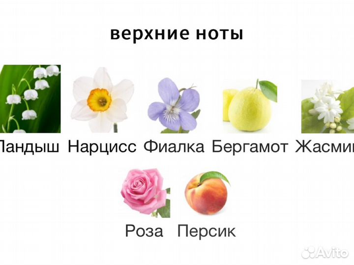 30 мл Клима винтажные climate