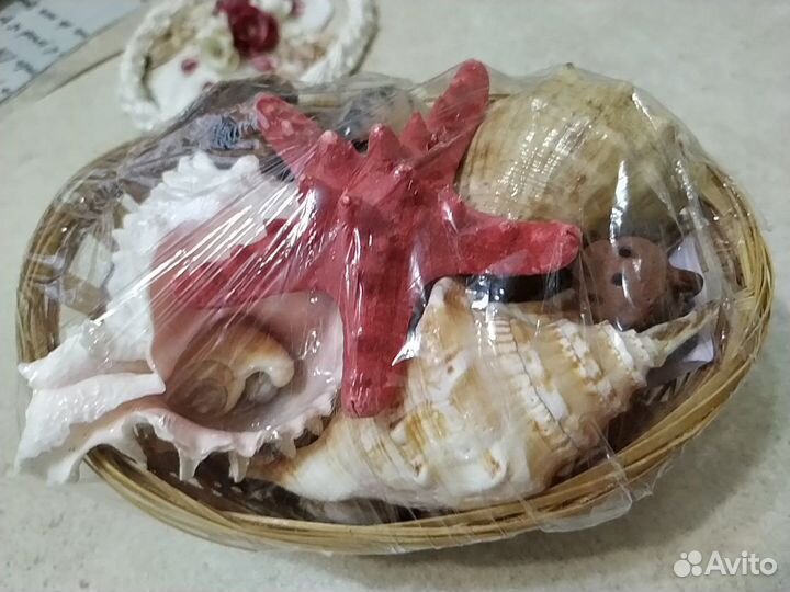 Раковины морские