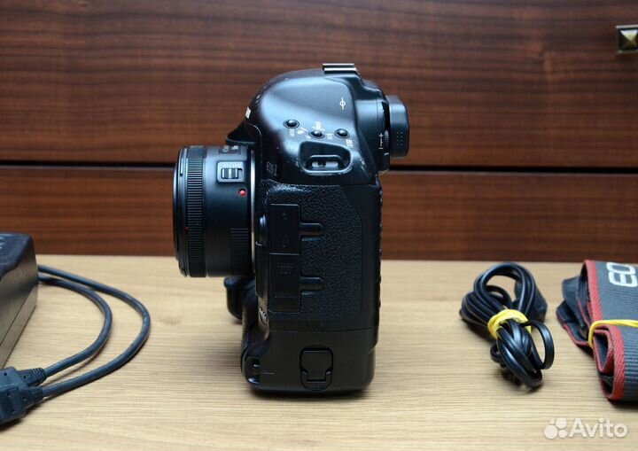 Canon 1D mark II N + Canon 50mm f1.8 STM