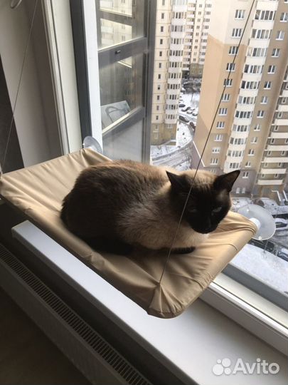 Лежанка для кошек новая, подвесная