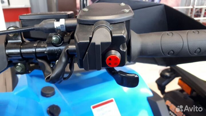 Квадроцикл RM800 DUO