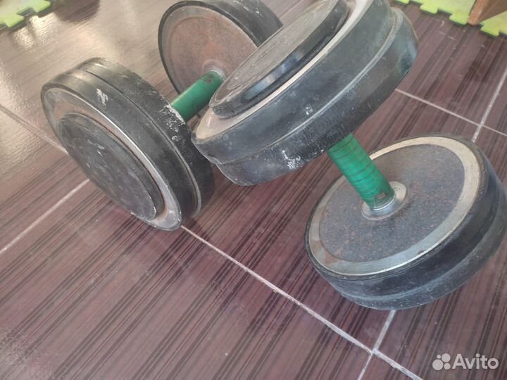 Гантели разборные