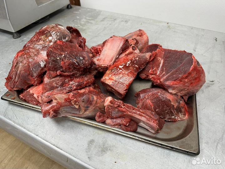 Корм для собак