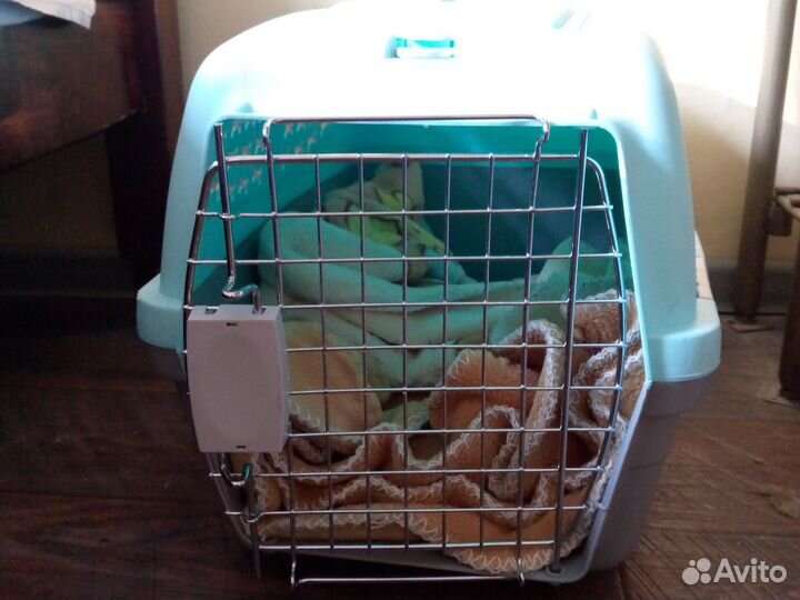 Переноска-контейнер