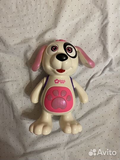 Собака танцет и ходит