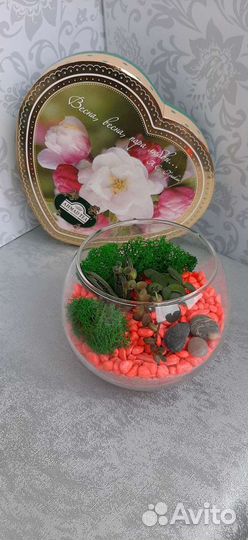 Флорариум - подарок и элемент декора