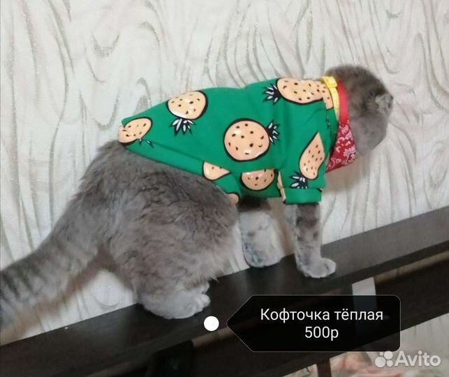 Игрушки для кошек. Когтеточки