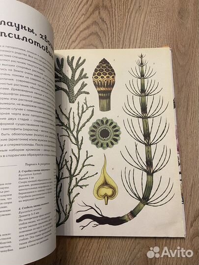 Ботаникум книга