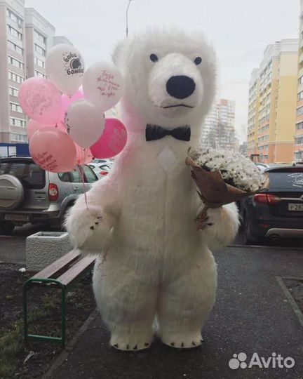 Белый Мишка или Чебурашка на поздравление