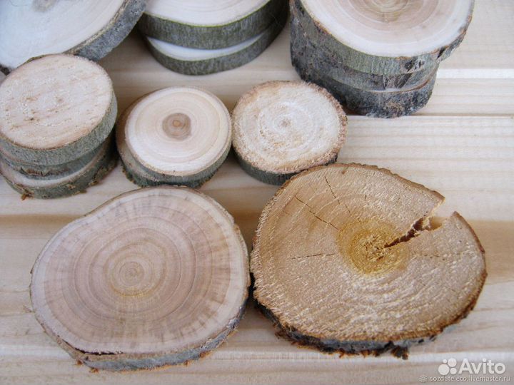 Торцевой спил дерева