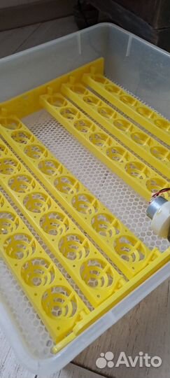 Автоматический инкубатор И-48