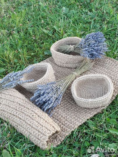 Лаванда сухоцвет