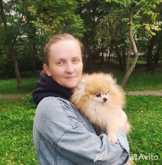 Услуги кинолога