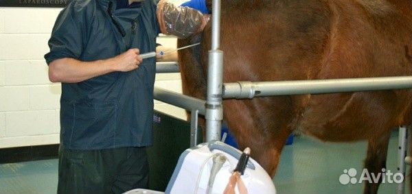 Термостат-оттаиватель, Венера-Вет