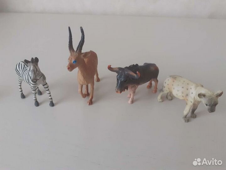 Животные,насекомые