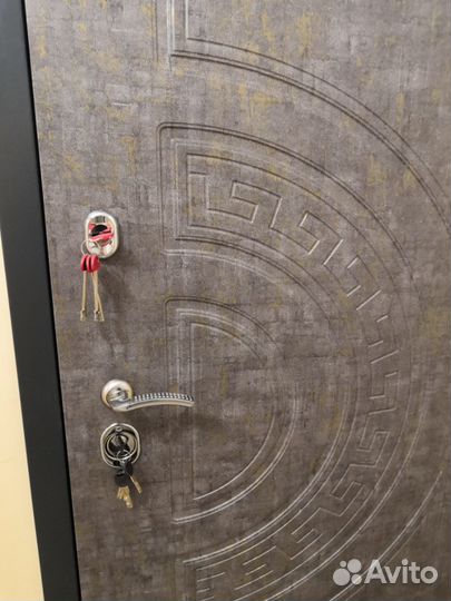 Входная металлическая дверь