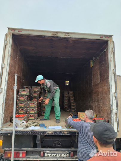 КамАЗ 4308, 2006