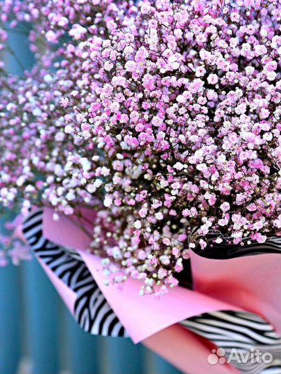 Цветы гипсофила Облако Счастья