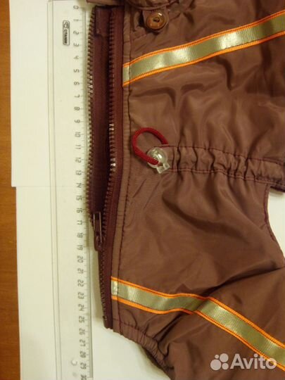 Комбинезон зима куртка йорк дождевик такса