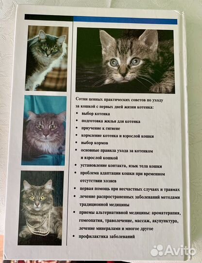 Энциклопедия о кошках