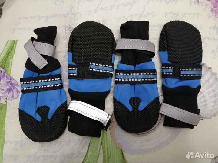 Обувь для большой собаки