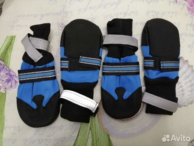 Обувь для большой собаки