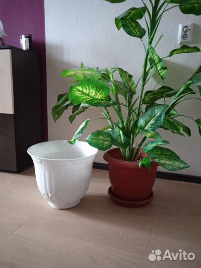 Горшок большой под цветы