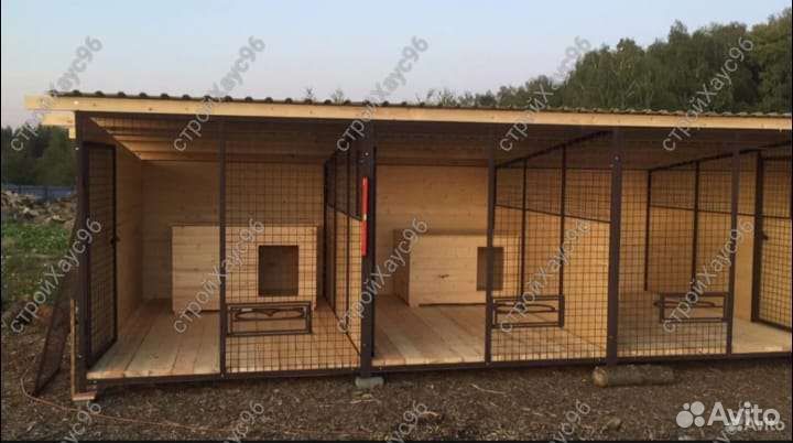 Вольер для собак приют