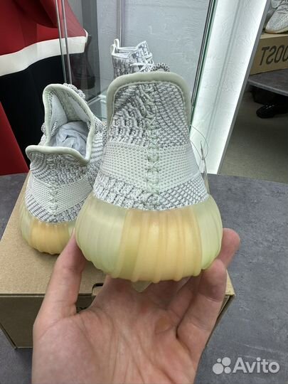 Adidas Yeezy Boost