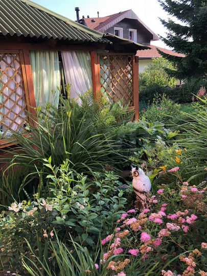 Участок 11 сот. (СНТ, ДНП)