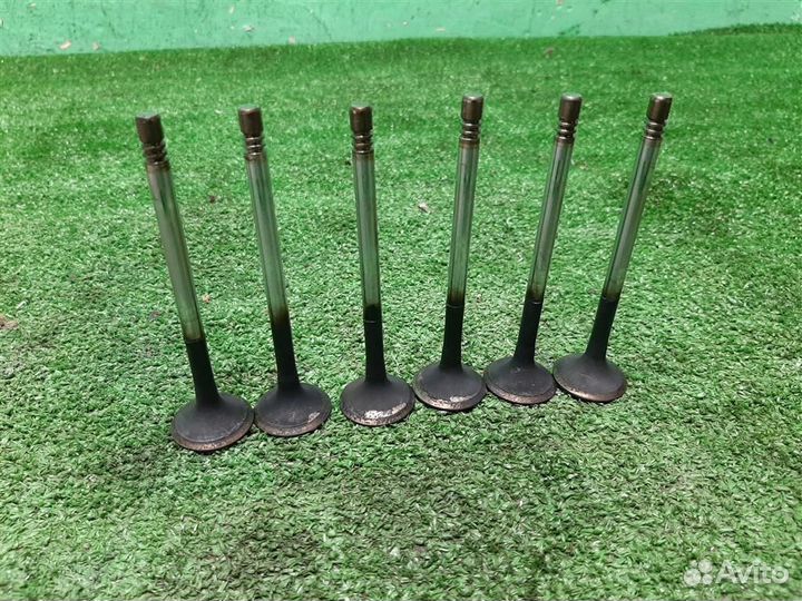 Клапана выпускные (комплект) Skoda Fabia 5J