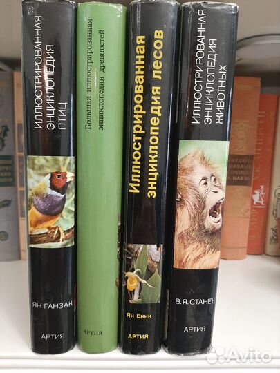 Детская энциклопедия