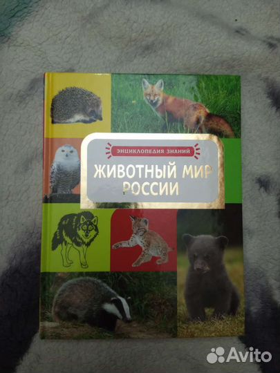 Энциклопедия знаний 