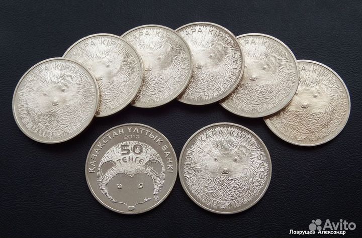 Казахстан 50 тенге 2013 Длинноиглый ёж еж