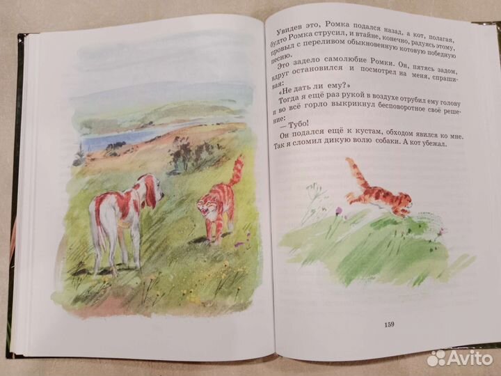 Детская книга