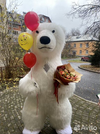 Гиганский медведь