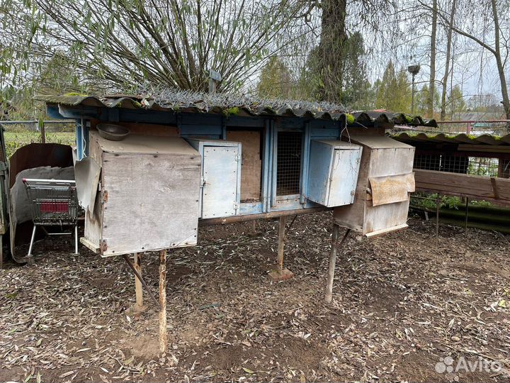 Клетка для разведения кролика