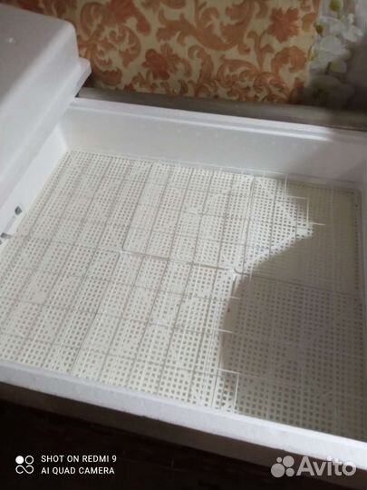 Инкубатор для яиц