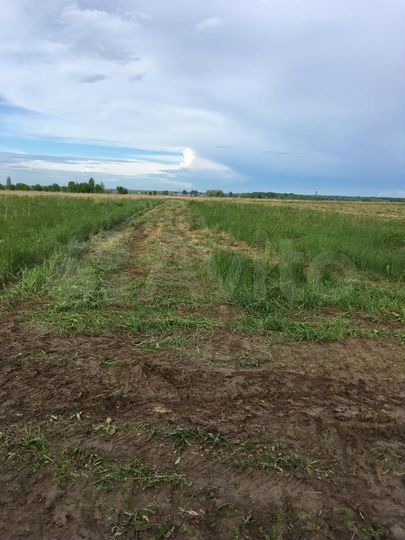 Участок 4,9 га (СНТ, ДНП)