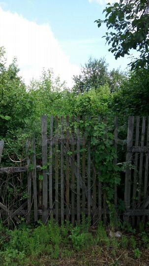 Дача 20 м² на участке 4 сот.