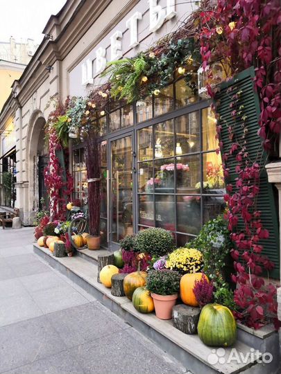 Розы цветы доставка 25 51 роза 101 роза