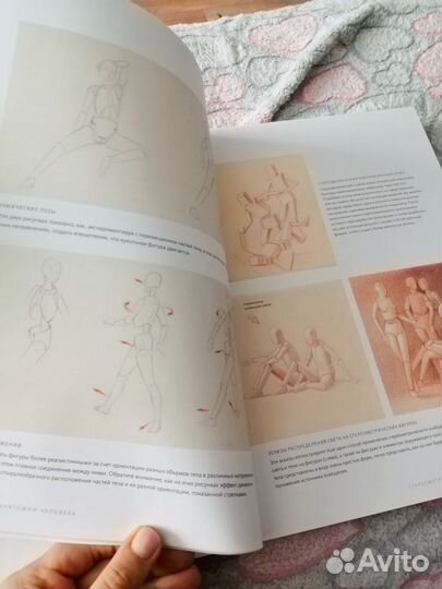 Основы анатомии для художников Роберто Ости