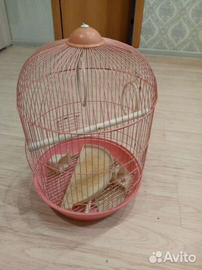 Клетка для попугая