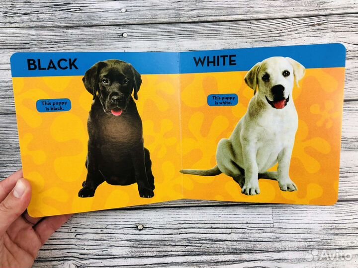 National Geographic Kids,английские книги