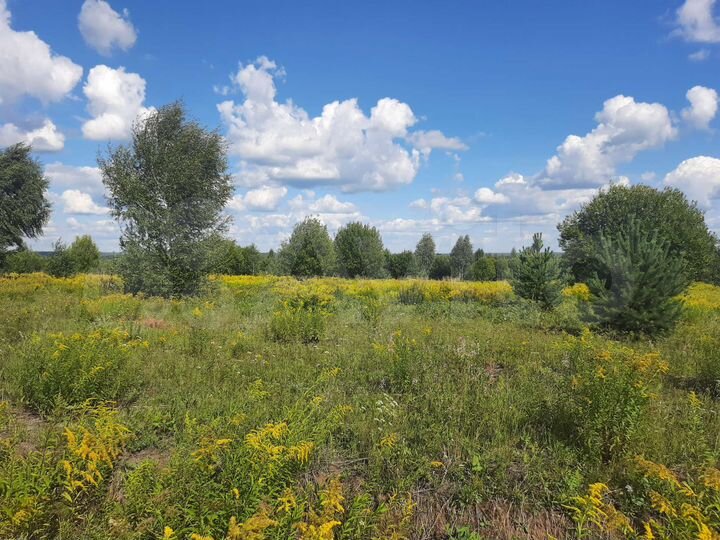 Участок 1,49 га (ИЖС)