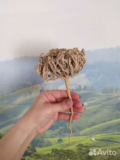 Украшение для интерьера